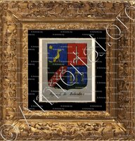 cadre-ancien-or-RAYNARDI DE BELVEDERE_Noblesse d'Empire._France