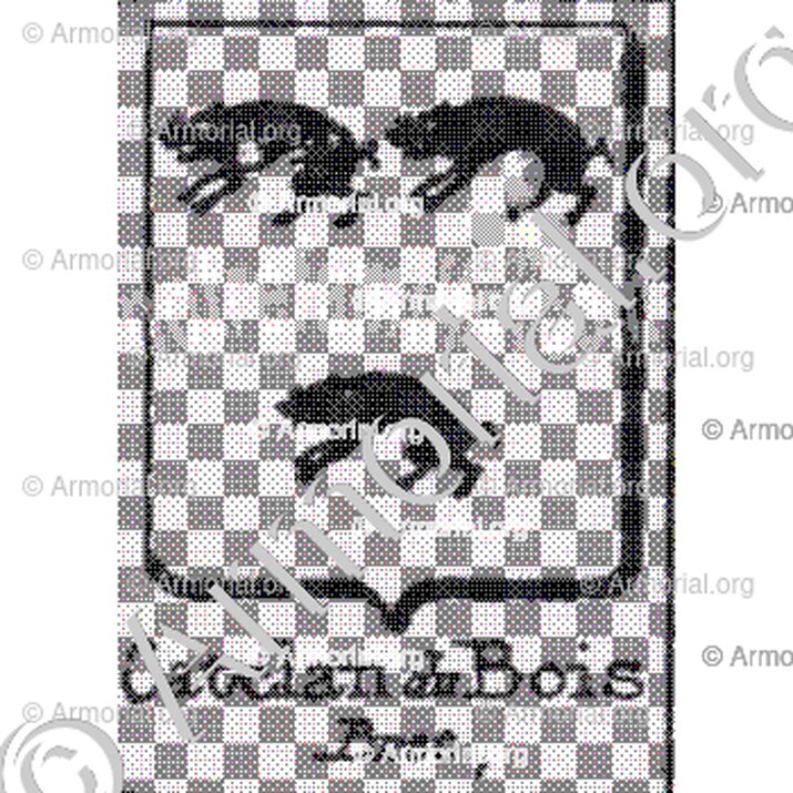 Catelan du Bois__