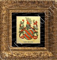 cadre-ancien-or-Von BRUNN_Wappenbuch der Stadt Basel . B.Meyer Knaus 1880_Schweiz