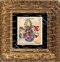 cadre-ancien-or-HESSEN_Wappen der Landgrafen_Deutschland httpdaten.digitale-sammlungen.de 