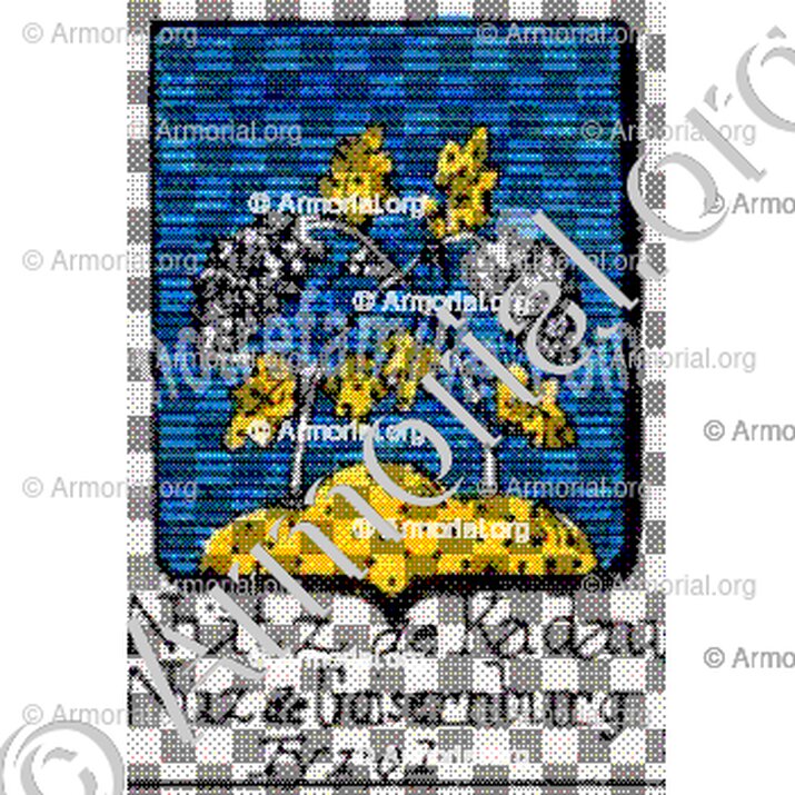 Nuitz de Kadau Nüz de Goisernburg__