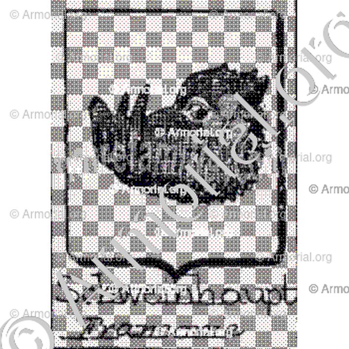 Schweinhaupt__