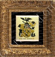 cadre-ancien-or-Von der MÜHLL_Wappenbuch der Stadt Basel . B.Meyer Knaus 1880_Schweiz 