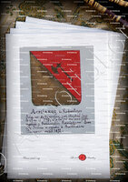 velin-d-Arches-ACHIARDI_Armorial Nice. (J. Casal, 1902) (Bibl. mun. de Nice)_France (iii)