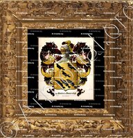 cadre-ancien-or-van SANTEN de SOMERSDYK_Zuid-Holland_Nederland (+)