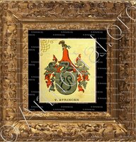 cadre-ancien-or-von EFRINGEN_Wappenbuch der Stadt Basel . B.Meyer Knaus 1880_Schweiz