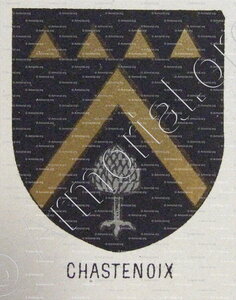 CHASTENOIX