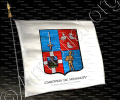 drapeau-CHAMPION de NANSOUTY_Comte-Militaire de l'Empire Français_France