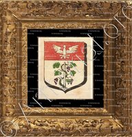 cadre-ancien-or-AMANCE_Armorial des villes, bourgs, et villages., 1877._Europe