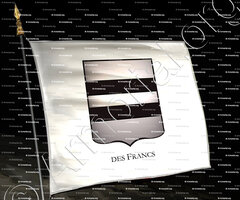 drapeau-Des FRANCS_Armorial Philippe de Fleury. Paris._France