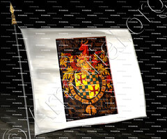 drapeau-Jean de DAMAS_Seig. de Clessy, Digoine, Saint-Amour_France