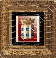 cadre-ancien-or-VICHY_Email armes de Vichy (Bourbonnais)_France (iii)