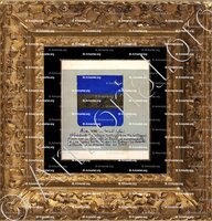 cadre-ancien-or-AIGLUN_Armorial Nice. (J. Casal, 1902) (Bibl. mun. de Nice)_France (ii)