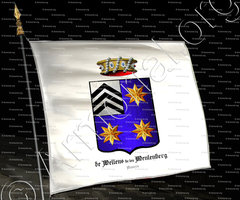 drapeau-Baron de WELLENS de ten MEULENBERG_Anvers_Belgique