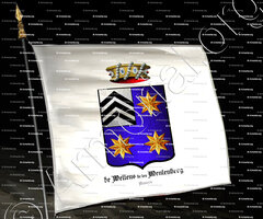drapeau-Baron de WELLENS de ten MEULENBERG_Anvers_Belgique