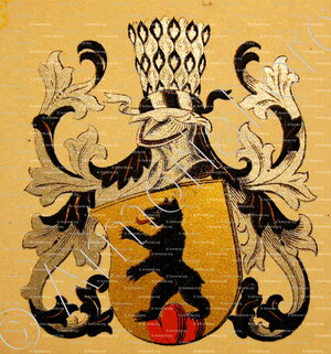 BÄRENFELS_Wappenbuch der Stadt Basel . B.Meyer Knaus 1880_Schweiz