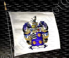 drapeau-WELLENS van ten MEULENBERG_Antwerpen_België (cimier)