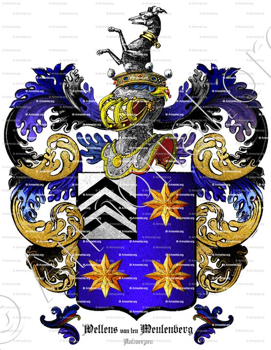 WELLENS van ten MEULENBERG_Antwerpen_België (cimier)