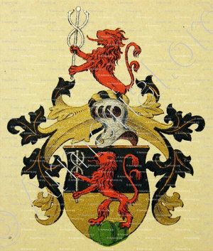 ARNOLD_Wappenbuch der Stadt Basel . B.Meyer Knaus 1880_Schweiz