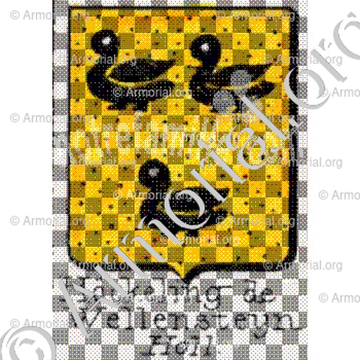 Höckeling de Wellensteyn__