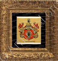 cadre-ancien-or-von OFFENBURG_Wappenbuch der Stadt Basel . B.Meyer Knaus 1880_Schweiz 