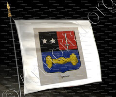 drapeau-RIGAUX_Noblesse d'Empire._France