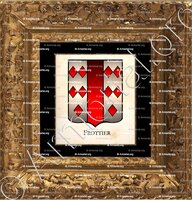cadre-ancien-or-FROTTIER_Armorial Philippe de Fleury. Paris._France