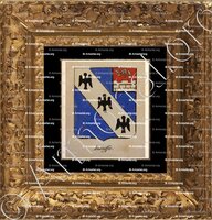 cadre-ancien-or-RIOUFFE_Noblesse d'Empire._France