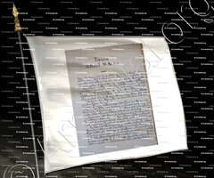 drapeau-THAON de REVEL SAINT ANDRE_Armorial Nice. (J. Casal, 1903) (Bibl. mun. de Nice)._France (ii)