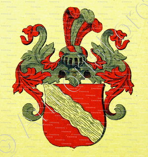 BÄCHLIN_Wappenbuch der Stadt Basel . B.Meyer Knaus 1880_Schweiz