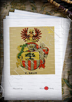 velin-d-Arches-von SALIS_Wappenbuch der Stadt Basel . B.Meyer Knaus 1880_Schweiz 