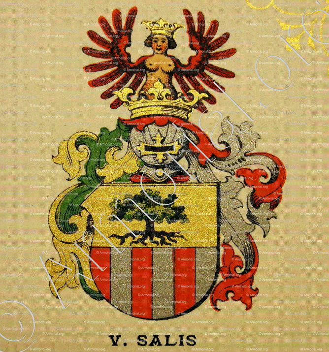 von SALIS_Wappenbuch der Stadt Basel . B.Meyer Knaus 1880_Schweiz 