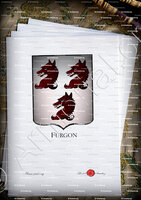velin-d-Arches-FURGON_Armorial Philippe de Fleury. Paris._France