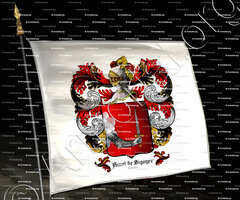 drapeau-AMAT de SIGOYER_Dauphiné, Grenoble, 1651._France.