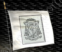 drapeau-GUEULETTE_ Evêque de Valence, 1865-1875. Diocèse de Moulins_France (1)