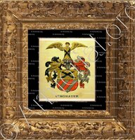 cadre-ancien-or-von SCHÖNAUER_Wappenbuch der Stadt Basel . B.Meyer Knaus 1880_Schweiz 