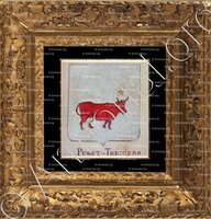 cadre-ancien-or-THENIERS_Armorial Nice. (J. Casal, 1903) (Bibl. mun. de Nice)._France (i)