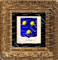 cadre-ancien-or-GITTON_Armorial Philippe de Fleury. Paris._France