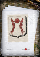 velin-d-Arches-BLAMONT_Armorial des villes, bourgs, et villages., 1877._Europe