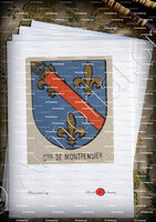 velin-d-Arches-Comtes de MONTPENSIER_Bourbonnais_France