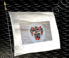 drapeau-ALBINI_Armorial Nice. (J. Casal, 1902) (Bibl. mun. de Nice)_France (i)