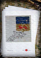 velin-d-Arches-TIRANTI_Armorial Nice. (J. Casal, 1903) (Bibl. mun. de Nice)_France (i)