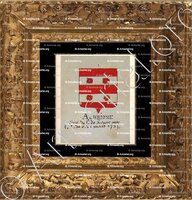 cadre-ancien-or-ALBRIONE_Armorial Nice. (J. Casal, 1902) (Bibl. mun. de Nice)_France (i)