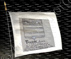 drapeau-TODON_Armorial Nice. (J. Casal, 1903) (Bibl. mun. de Nice)._France (i)