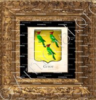 cadre-ancien-or-GUYOT_Armorial Philippe de Fleury. Paris._France