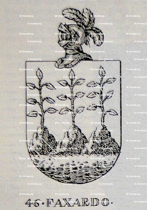 FAXARDO_1775, Albacete. Castilla-La Mancha_España.