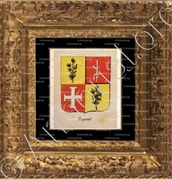 cadre-ancien-or-ROGUET_Noblesse d'Empire._France