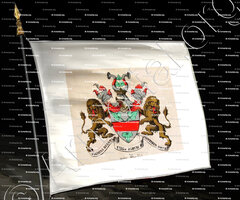 drapeau-von DASSEL_Niedersachsen_Deutschland