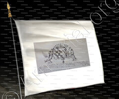 drapeau-TONDUT_Armorial Nice. (J. Casal, 1903) (Bibl. mun. de Nice)._France (ii)