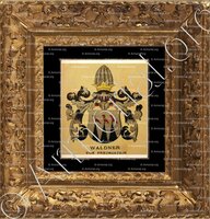 cadre-ancien-or-WALDNER von FREUNDSTEIN_ Wappenbuch der Stadt Basel . B.Meyer Knaus 1880_ Schweiz. Suisse. Svizzera +